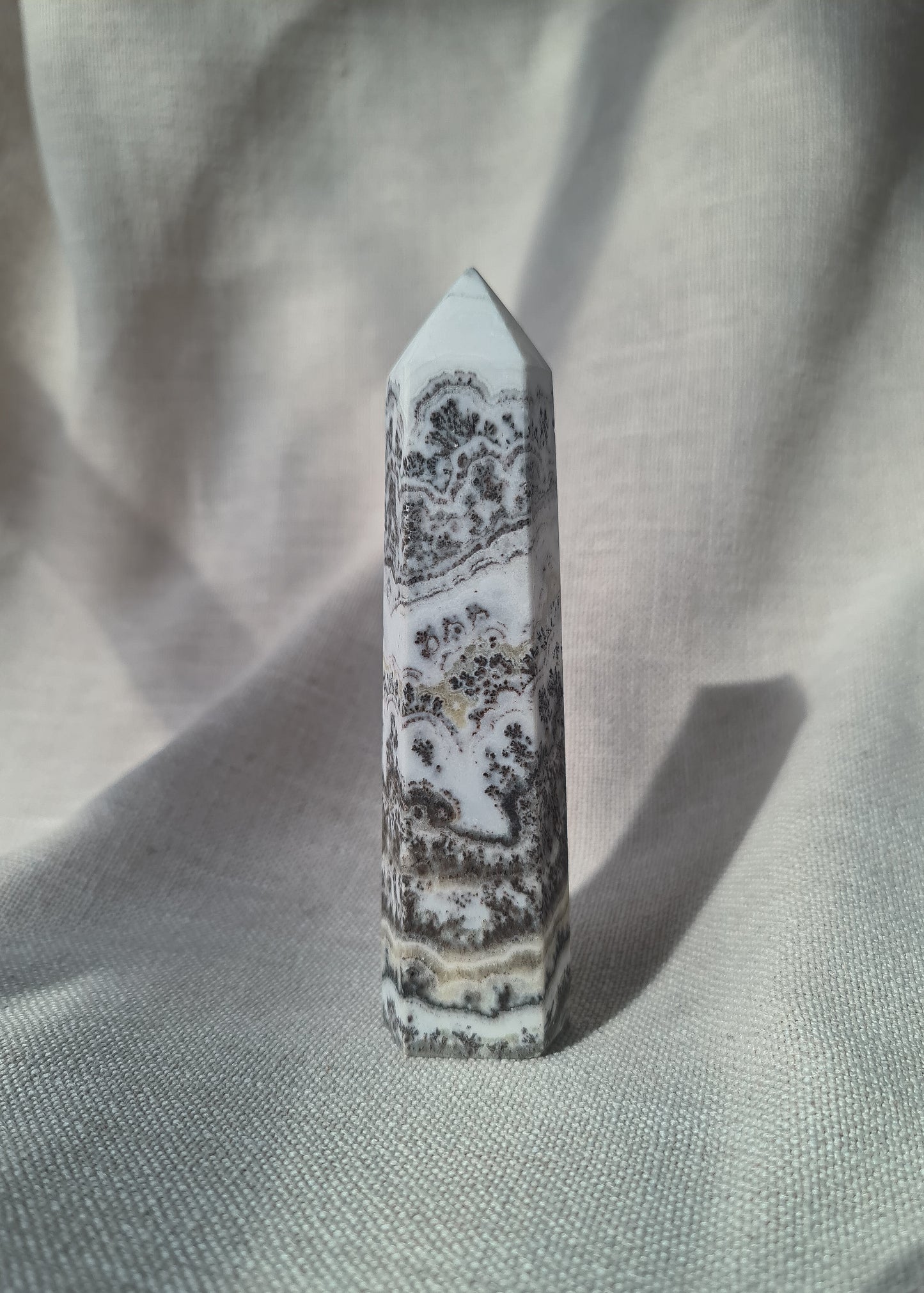 Dendritic Calcite