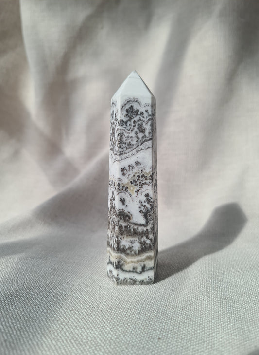 Dendritic Calcite