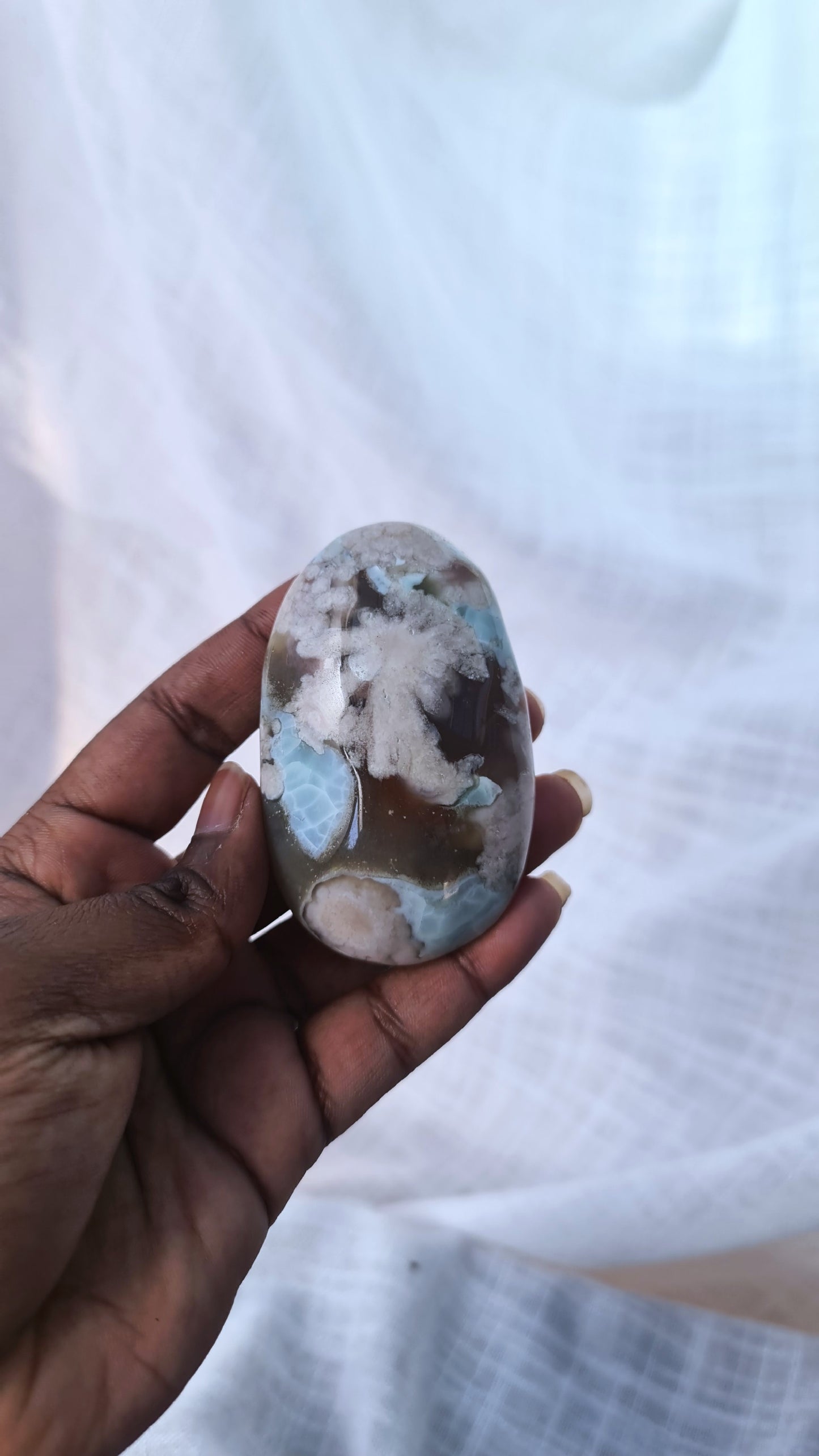 Black Flower Agate Palm