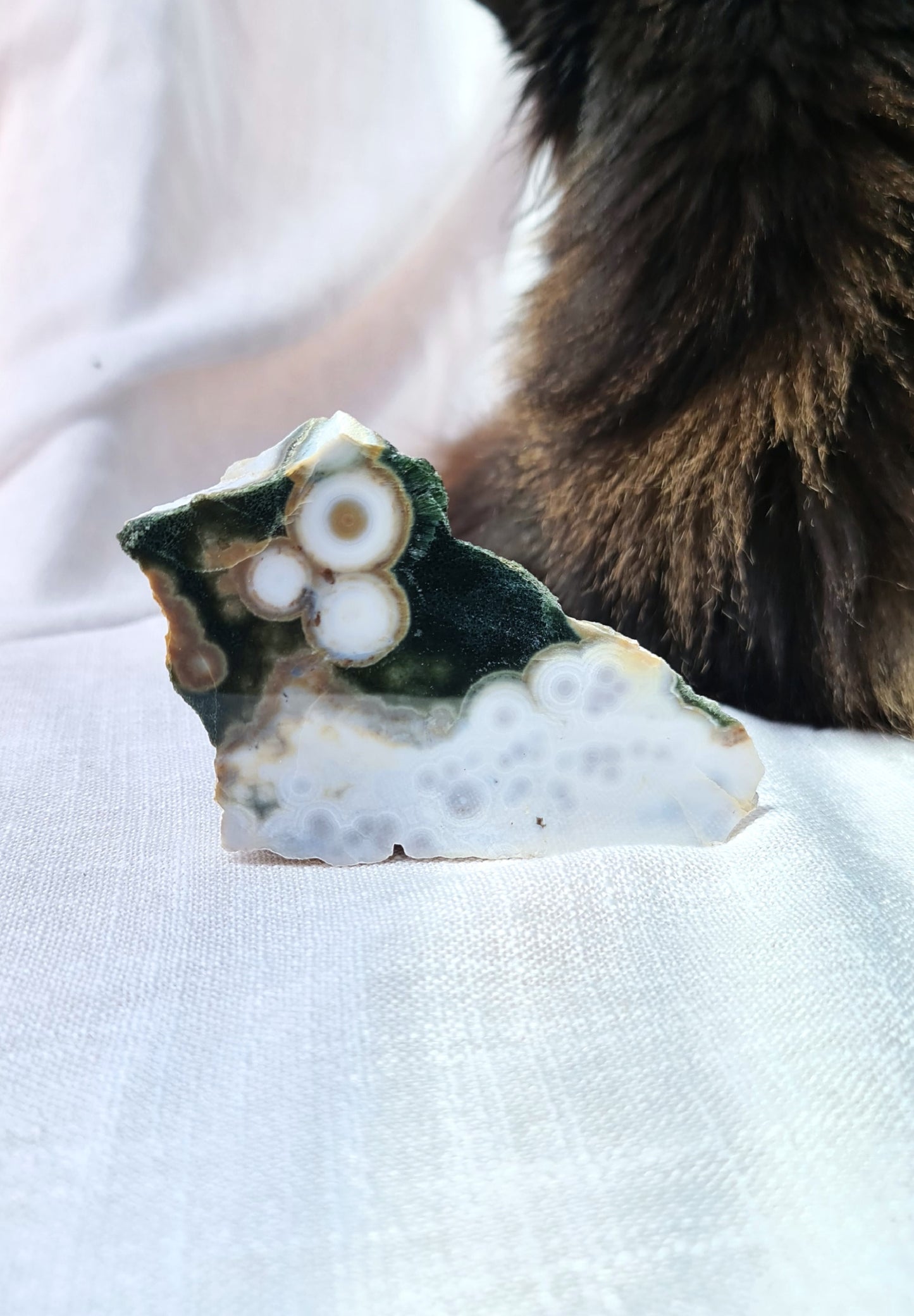 Ocean Jasper Slab A