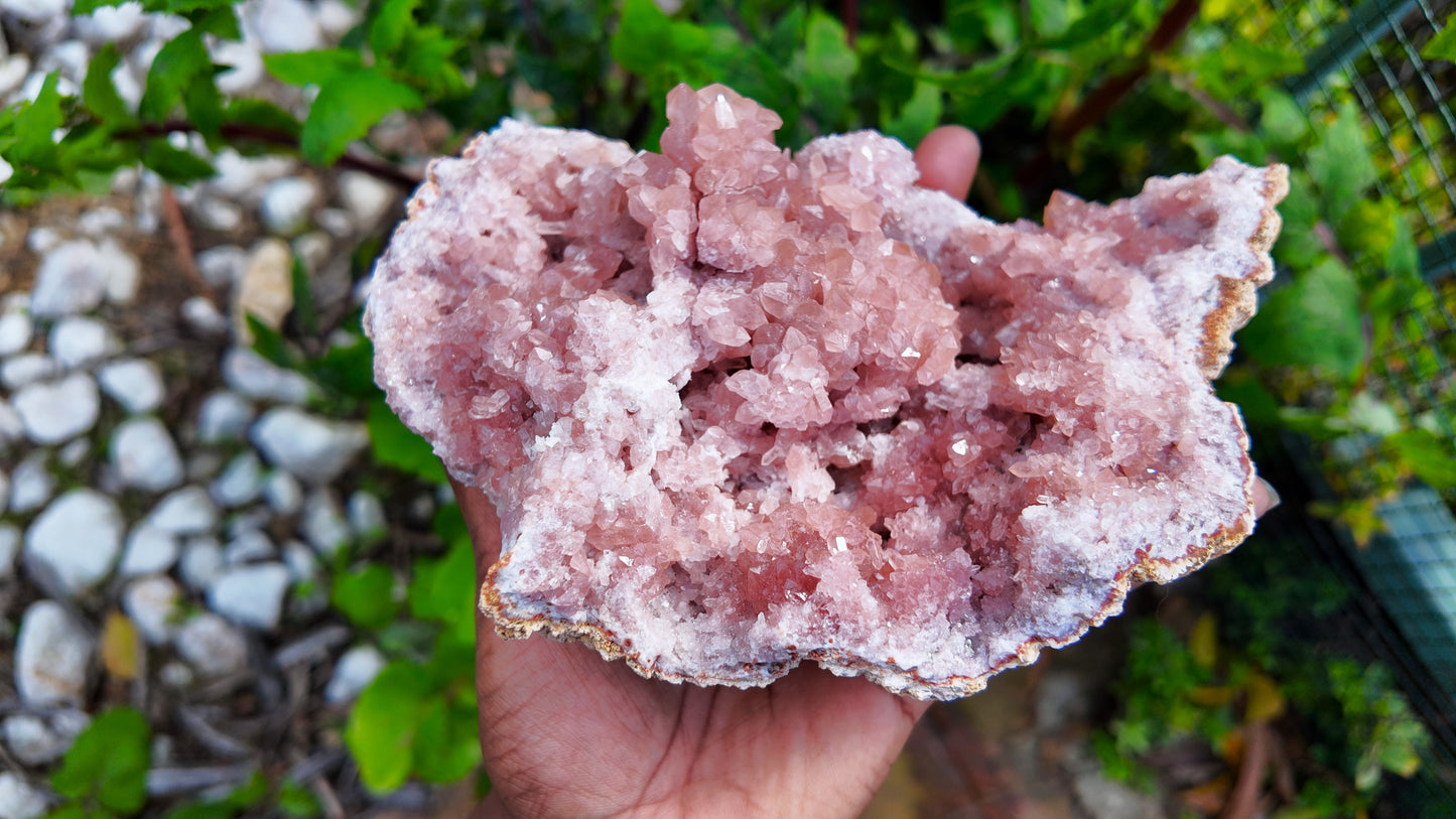 AAA grade large Pink Amethyst - Patagonia Argentina