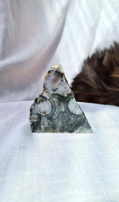 Ocean Jasper Slab B