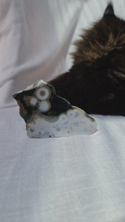 Ocean Jasper Slab A