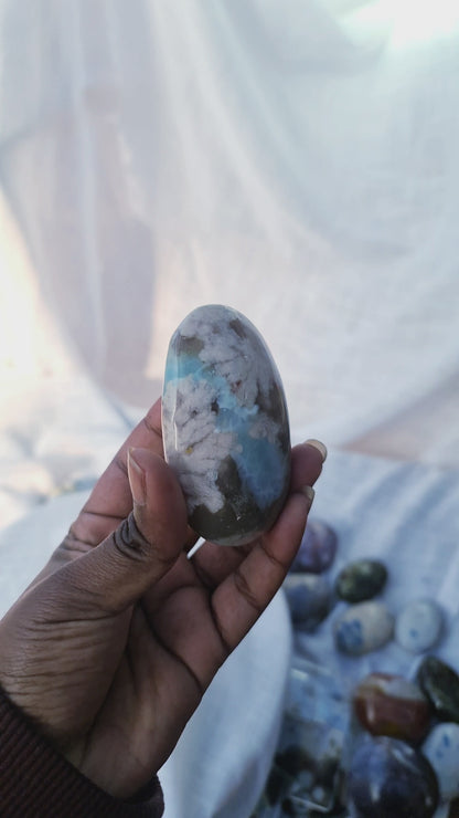 Black Flower Agate Palm